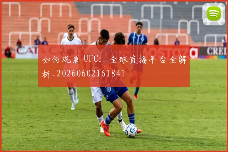 如何观看 UFC：全球直播平台全解析_20260602161841