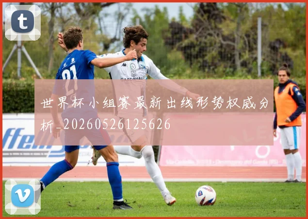 世界杯小组赛最新出线形势权威分析_20260526125626