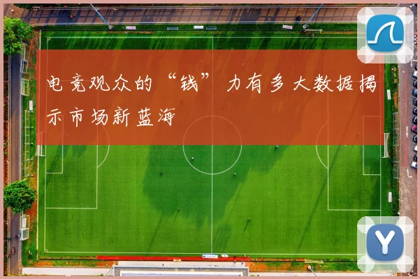 电竞观众的“钱”力有多大数据揭示市场新蓝海