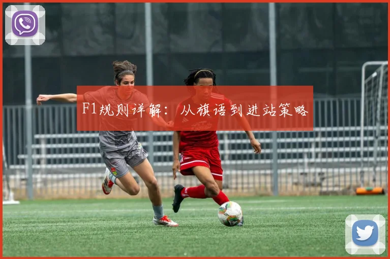 F1规则详解：从旗语到进站策略